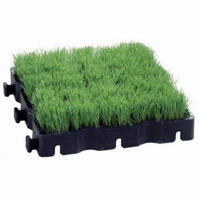 Kratka plastikowa Ecoraster