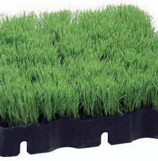 Kratka plastikowa Ecoraster