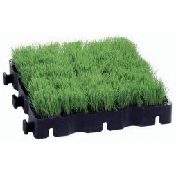 Kratka plastikowa Ecoraster
