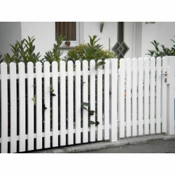 Model “Transparent”