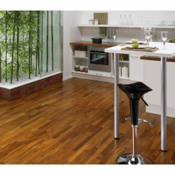 Kolekcje Salsa/Bravo