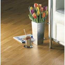 Kolekcja Professional