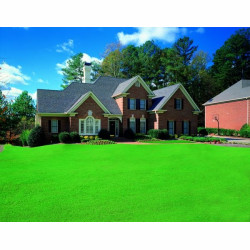 TRAWAN – darń w rolkach