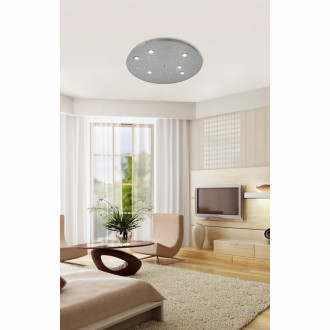 Paul Neuhaus PL