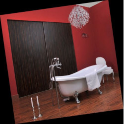 Profil boczny Asterix