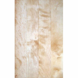 Deszczułki pasadzkowe lite. Brzoza