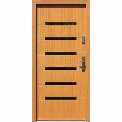 Drzwi zewnętrzne 488,1