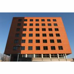 Cegły klinkierowe CAPRICE