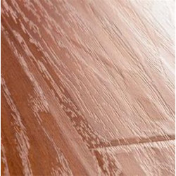 Dziki klon kolonialny, deska