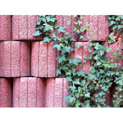 Gazon dzwiękochłonny