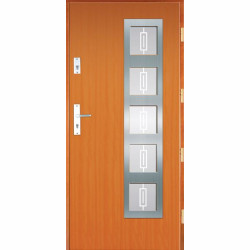 Drzwi zewnętrzne, Model FAV 02/INOX