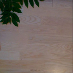 Parkiet jesion klasa Natur