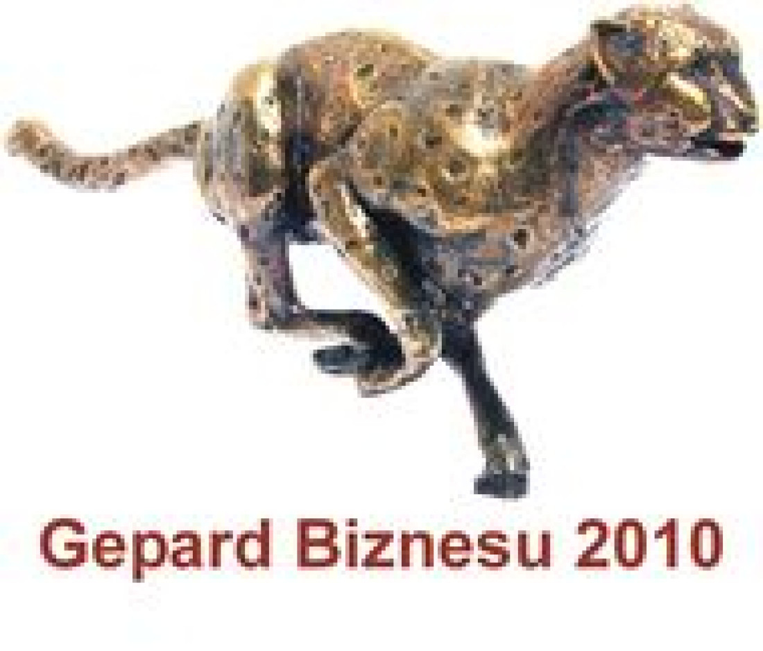 Wyróżnienie BeClever – Gepard Biznesu 2010