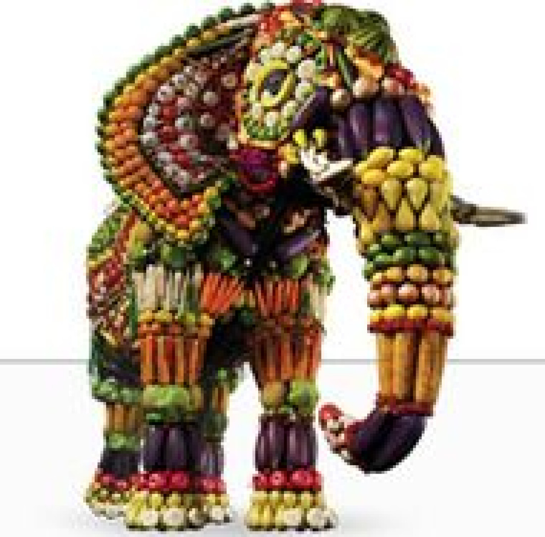 Słoń przynosi szczęście i porcelanę! Promocja Samsung