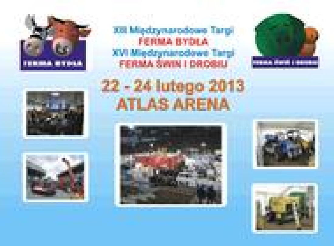 Tartak Witkowscy w Atlas Arena w Łodzi w dniach 22-24 lutego 2013