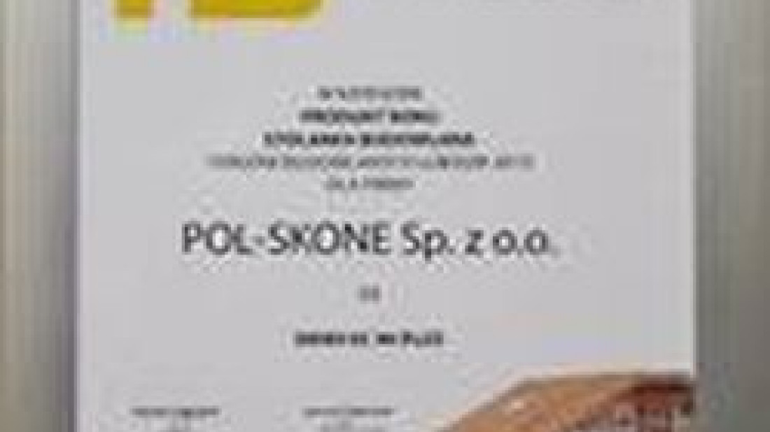 Okno POL-SKONE produktem roku 2013