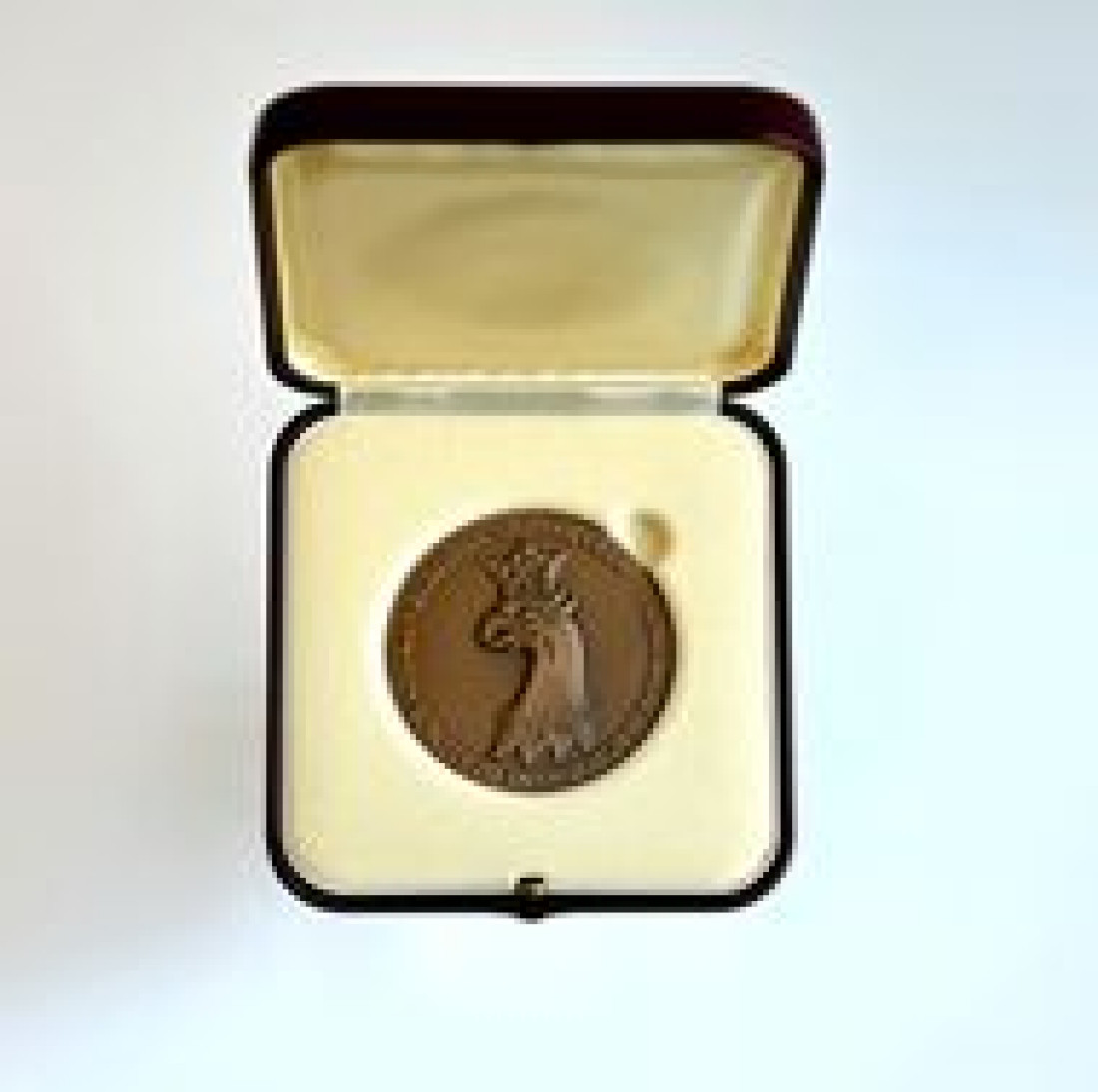 DRUTEX nagrodzony Medalem Europejskim