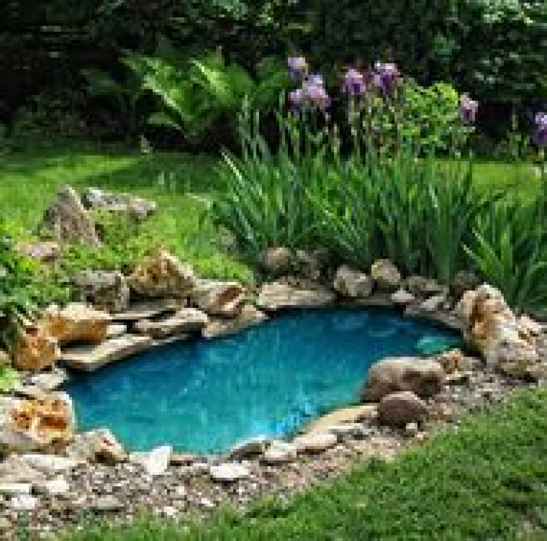 Na co zwrócić uwagę przy budowie oczka wodnego w ogrodzie?