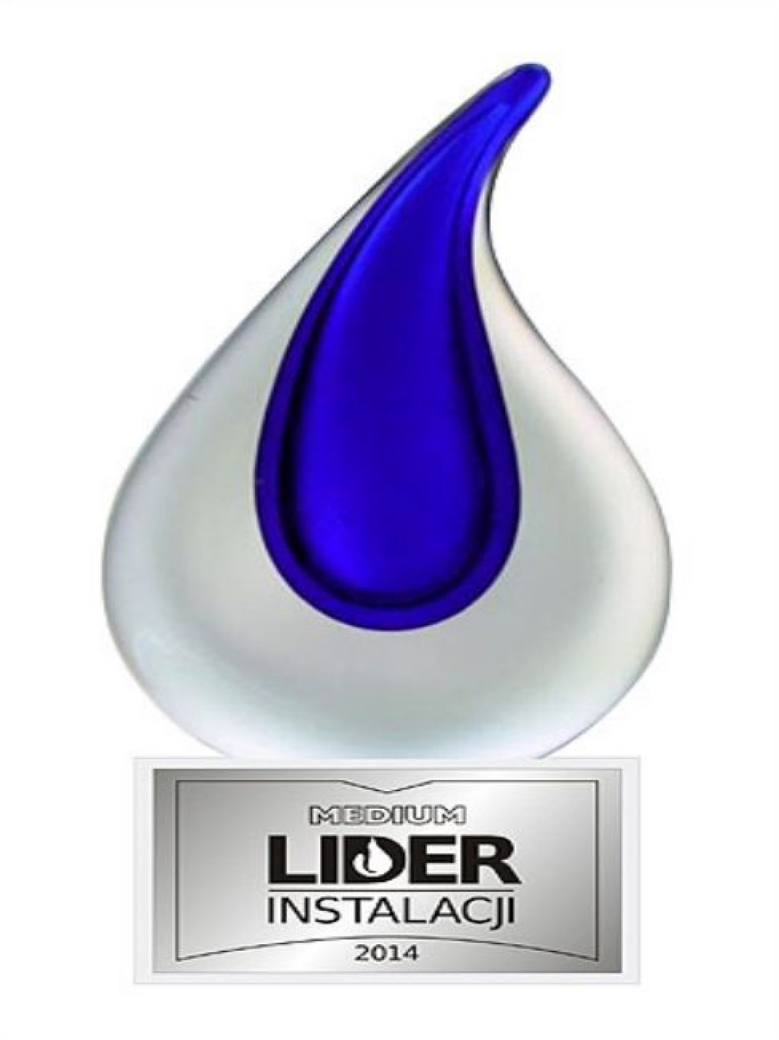 Nagroda w konkursie Medium LIDER INSTALACJI - po raz trzeci dla FERRO!