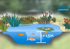 Wskazówki dotyczące budowy stawu