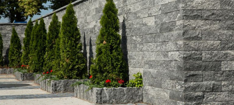 Projektujemy podjazd wraz z ogrodem wokół domu - fachowe porady dla samodzielnych