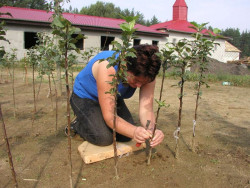 Arbet dla Solidarnych &quot;Plus&quot;