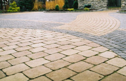 Libet antico natulit