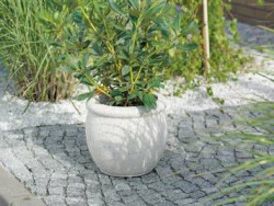 Śródziemnomorski klimat ogrodu - dekoracyjne donice firmy POZBRUK