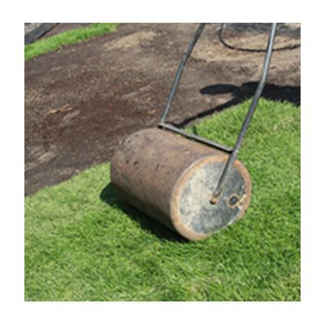  Trawniki - profesjonalne zakładanie trawników z siewu i rolki