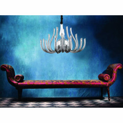 MaxLight − California