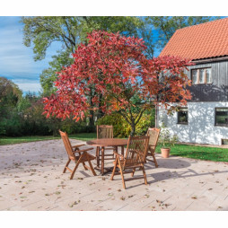 Płyta betonowa Ateny Prato