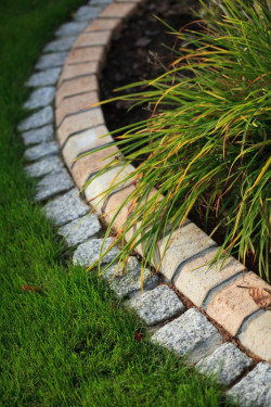 Idzie jesień przez ogródek - jak uporządkować posesję przed zimnymi miesiącami