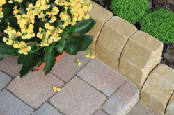 Idzie jesień przez ogródek - jak uporządkować posesję przed zimnymi miesiącami