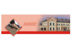 Jak walczyć z grzybami na powierzchniach betonowych i murowanych? - poleca firma Anser