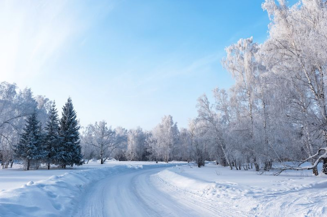 Kilka rzeczy, które możesz zrobić, aby przygotować się do zimy - radzi Termo Organika