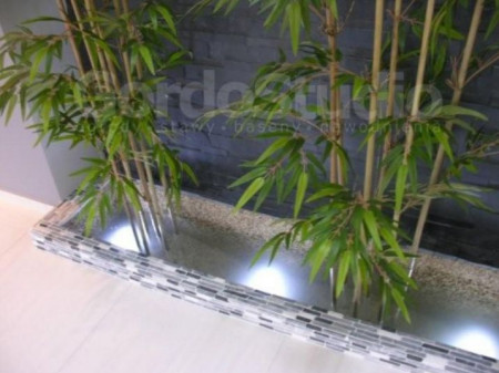 Gordo studio - aranżacja wnętrz zielenią