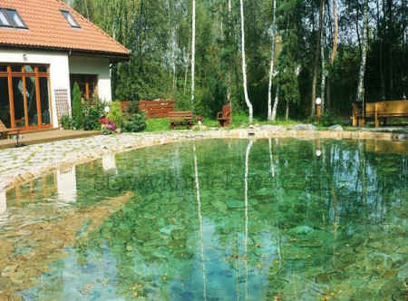 Baseny naturalne Gordo Studio