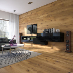 Deska barlinecka na ścianie_central_park.jpg