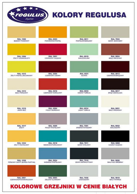 Super promocja REGULUS: Grzejnik kolorowy w cenie białego