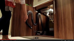 UST-M - Zestaw szybkiego sprzątania Speed Leo 