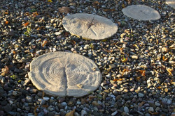 Płyty deptakowe – poleca proste rozwiązanie ogrodowych ścieżek Bruk-Bet