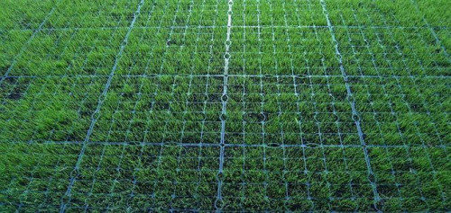 Kratka trawnikowa Inovgreen w ofercie ECOMAX