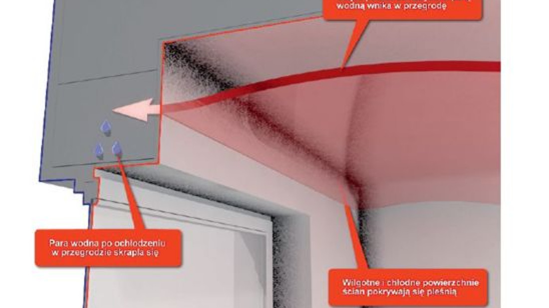 Jak rozwiązać problem pleśni i wilgoci na ścianach? radzi KORFF Isolmatic