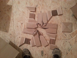 Fot. Andrzej Adamiec