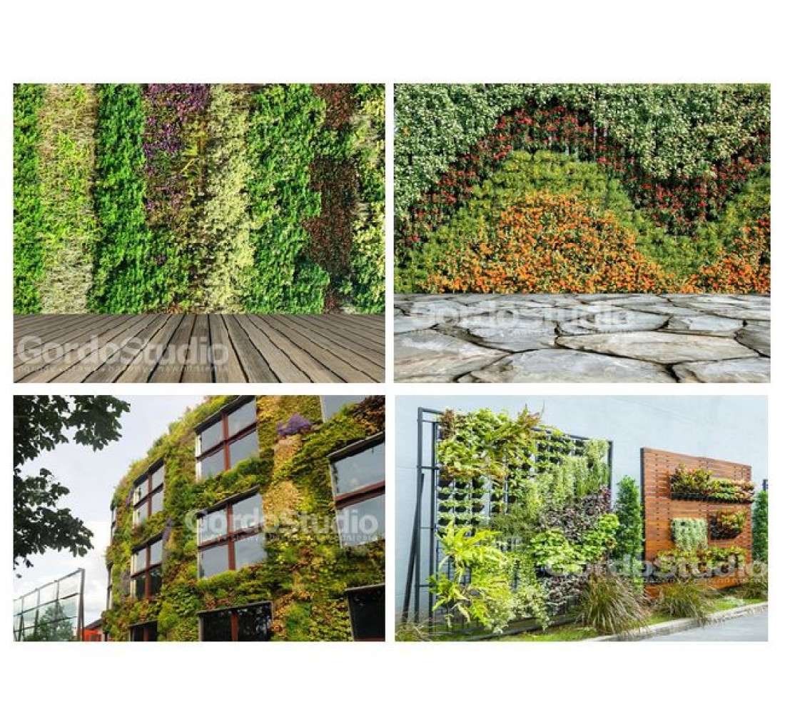 Gordo Studio przedstawia ogród w pionie, czyli zielone ściany