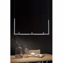 Led Dinner