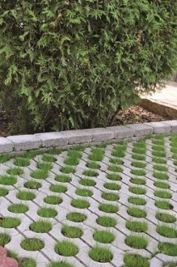 W zgodzie z naturą dzięki ekologicznej kostce brukowej Polbruk