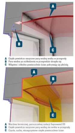 Dlaczego powstaje pleśń i grzyb na ścianach? - odpowiada KORFF Isolmatic