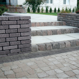 Murja (Libet Completto)