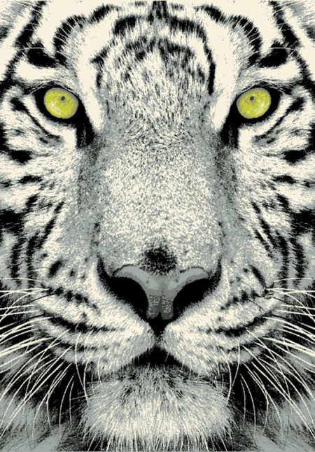 Dywany w stylu pop-art w Komforcie